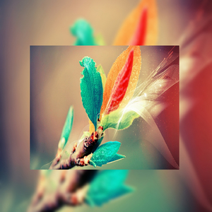 亚洲AV㊙️无码相泽南高桥
